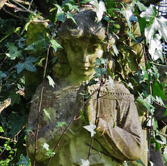 st pancras and islington cemetery, east finchley, london