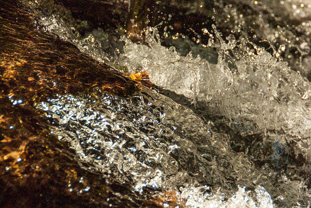 Reed and Stream - 1/2000 second