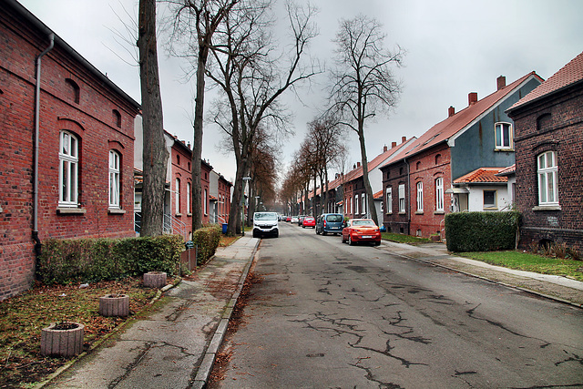 Zechenkolonie Hegemannshof, Meerbruchstraße (Essen-Katernberg) / 21.01.2023