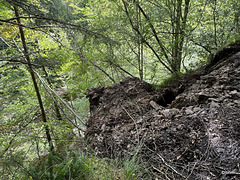 Imagery from the Dunearn Burn walk 24-08-2025