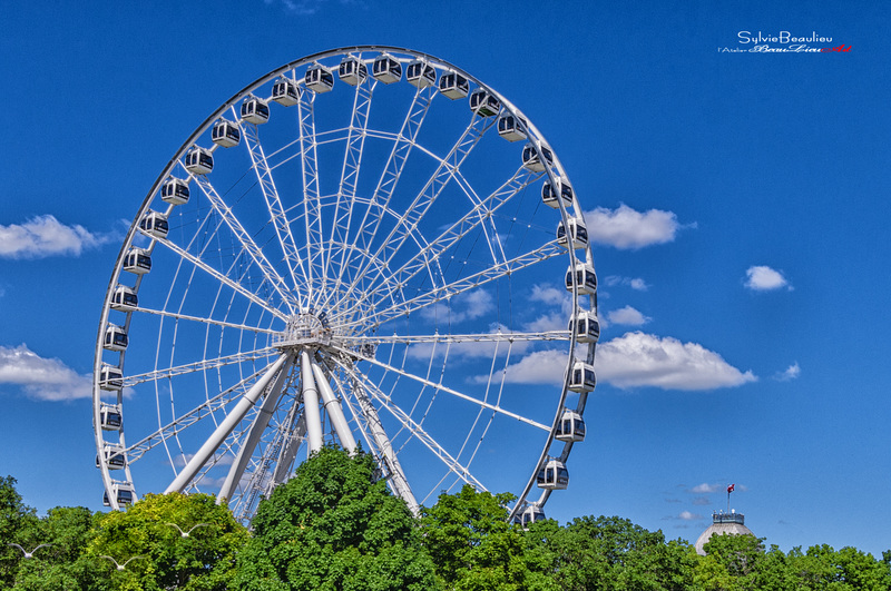 Grande Roue IMGP1932