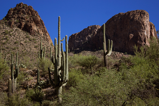 On the Apache Trail
