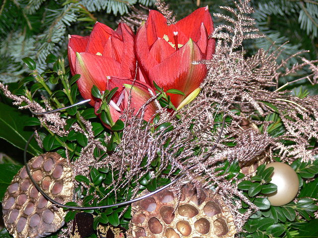 weihnachtlicher Blütenschmuck