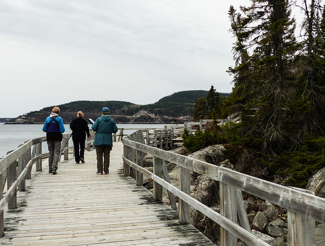 Day 9, boardwalk walk, Tadoussac