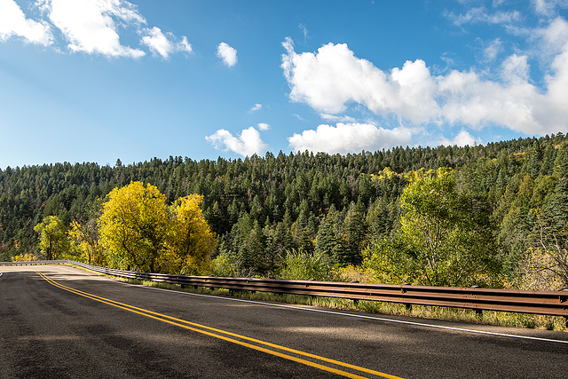 Driving to the crest of the Sandia mountains6