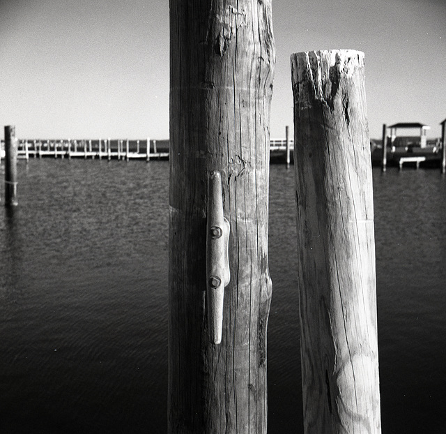 Pilings