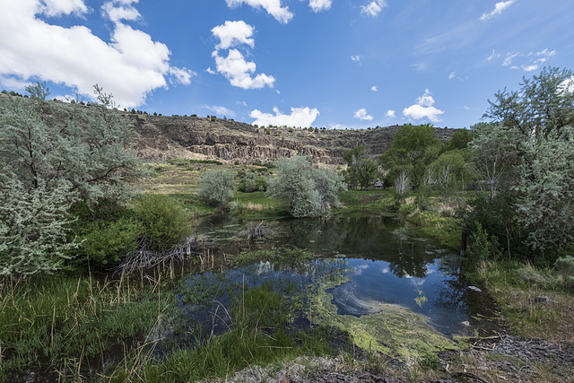 Pond, Roaring Springs Ranch, Catlow Valley 2T2B4200