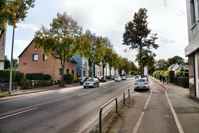 Wittbräucker Straße (Dortmund-Aplerbeck) / 21.10.2023