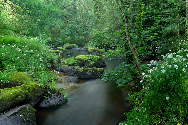 The river flows
