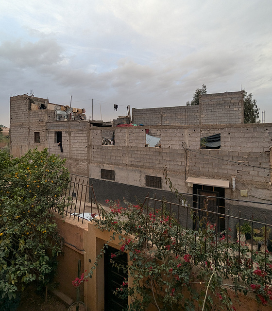 Plantes contre structure du sud marocain