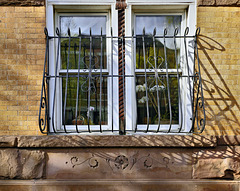 Orchids in the Window – Bergen Street near Flatbush Avenue, Park Slope, Brooklyn, New York