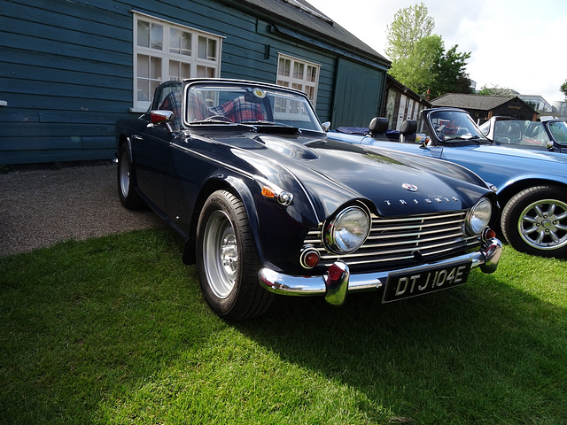 scbbmay222016 (1096)