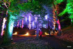 Colours of Cluny 2017