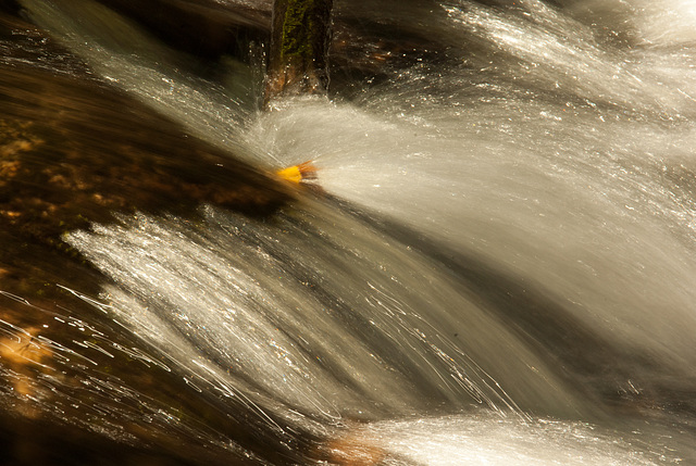 Reed and Stream - 1/10 sec