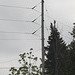 Typical CE 24.96kv corner pole