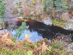 The Dunearn Burn walk - Earl of Moray's estate