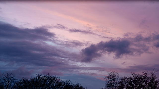 Winter Sky