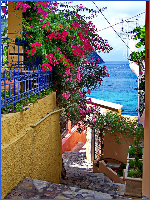 Cefalonia - HAPPY FENCE FRIDAY -19.8.22 -