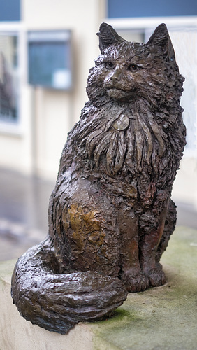 Hamish McHamish Statue in the Rain