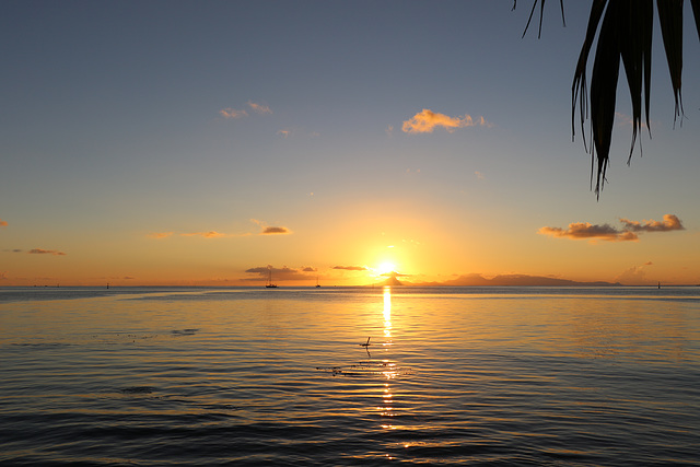 30 décembre au soir, lever et coucher de soleil du 31    PIP