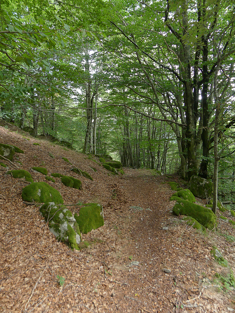 20180818 Rando solo Col de l'Hombre (Cevennes) (87) al