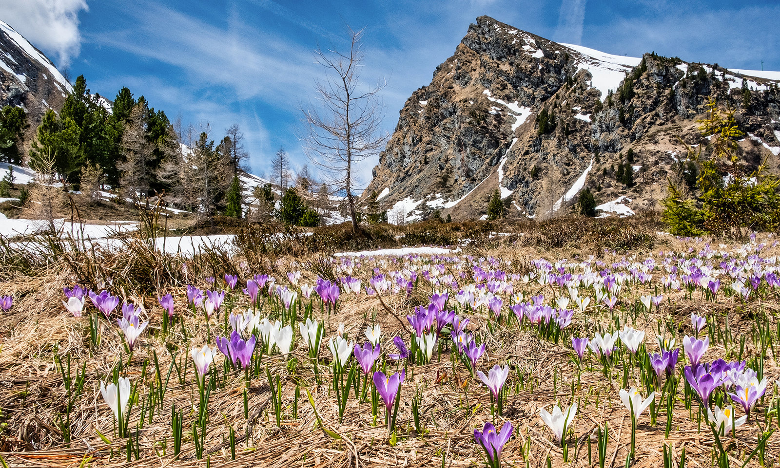 Spring at 2000 Metres