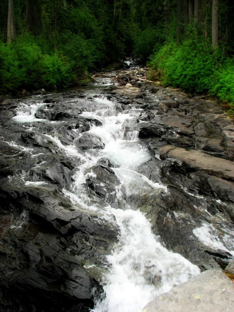 Watching the River Run