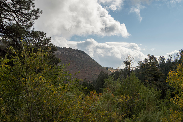 Driving to the crest of the Sandia mountains10