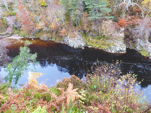 The Dunearn Burn walk - Earl of Moray's estate