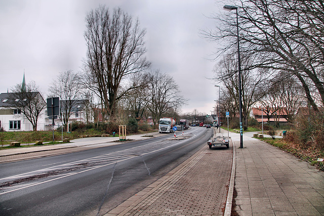 Zollvereinstraße (Essen-Katernberg) / 21.01.2023