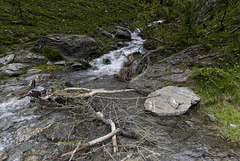 Torrent de montagne.