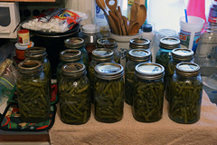 Home Canned Green Beans