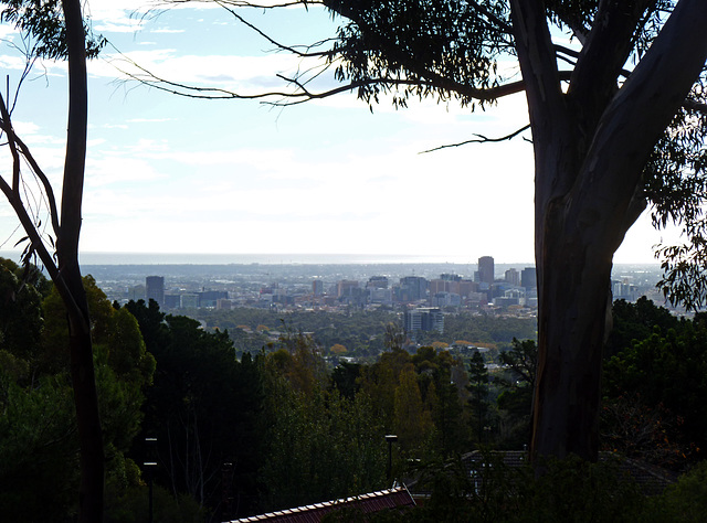 Adelaide from the hills