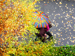 O un ombrello di colori