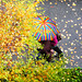 O un ombrello di colori