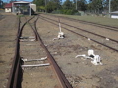 Mundubbera Station 0718 3813