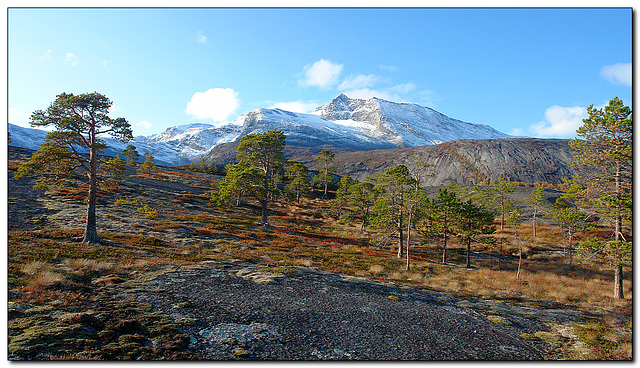 Berglandschaft