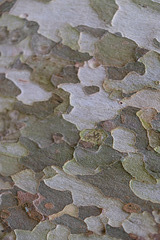 DSCF1345