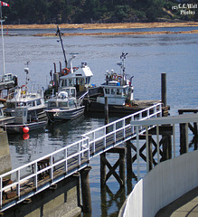 Dockside at Chemainus