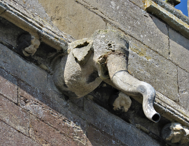 gosberton church, lincs (17) elephant gargoyle on tower, perhaps c15