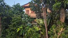 Résidence botanique / House amongst vegetation