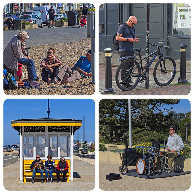 Scenes of Life Collage