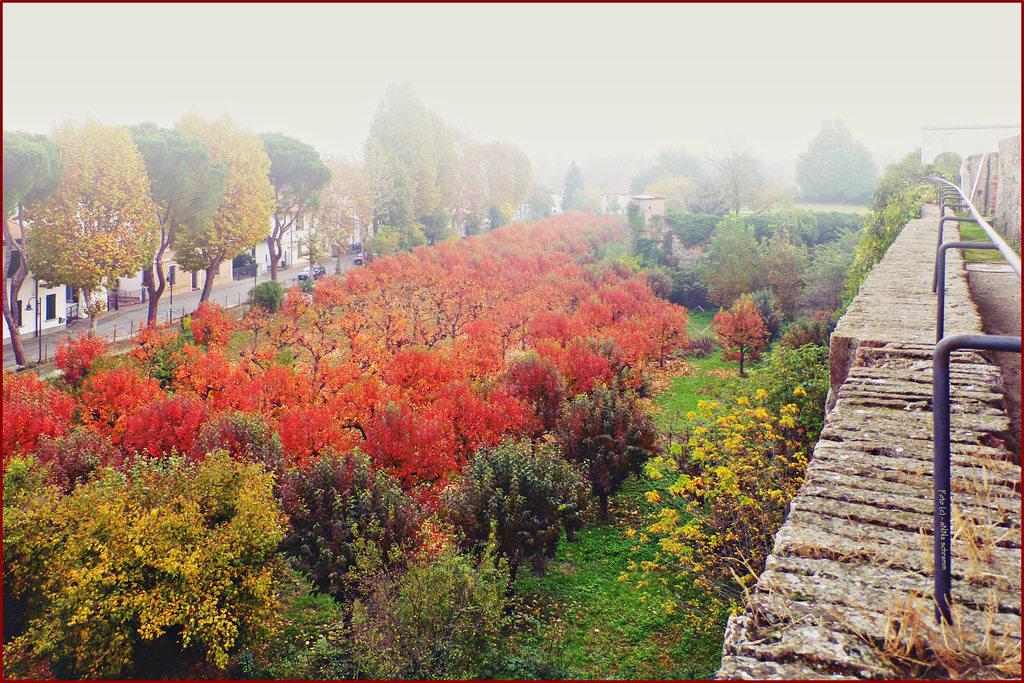 ...herbstlich...