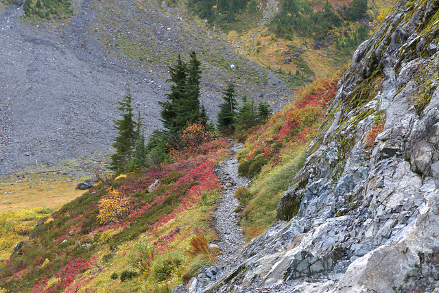 Chain Lakes Trail