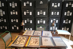 The Herbarium