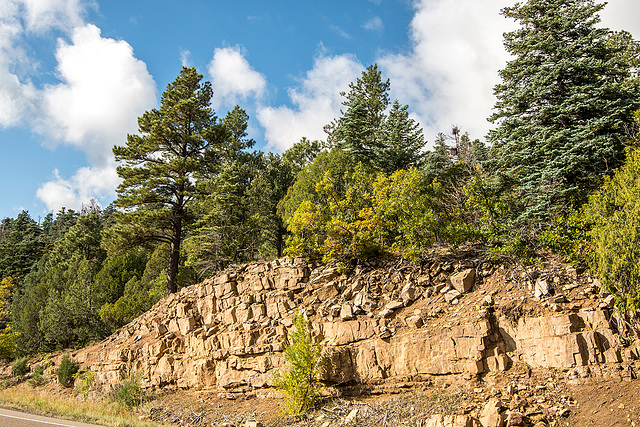 Driving to the crest of the Sandia mountains13