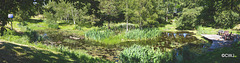 Sunny Sunday May afternoon by the pond
