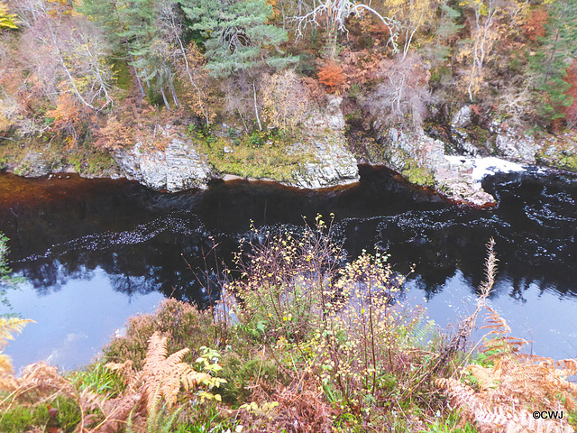 The Dunearn Burn walk - Earl of Moray's estate