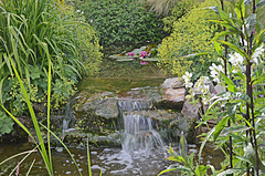 Dans un jardin privé