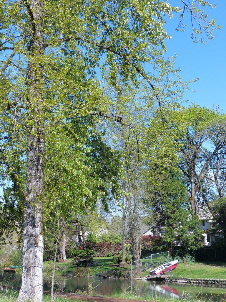 P1060387